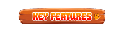 key_features.png